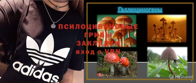 Галлюциногенные грибы MAGIC MUSHROOMS  Вольск 